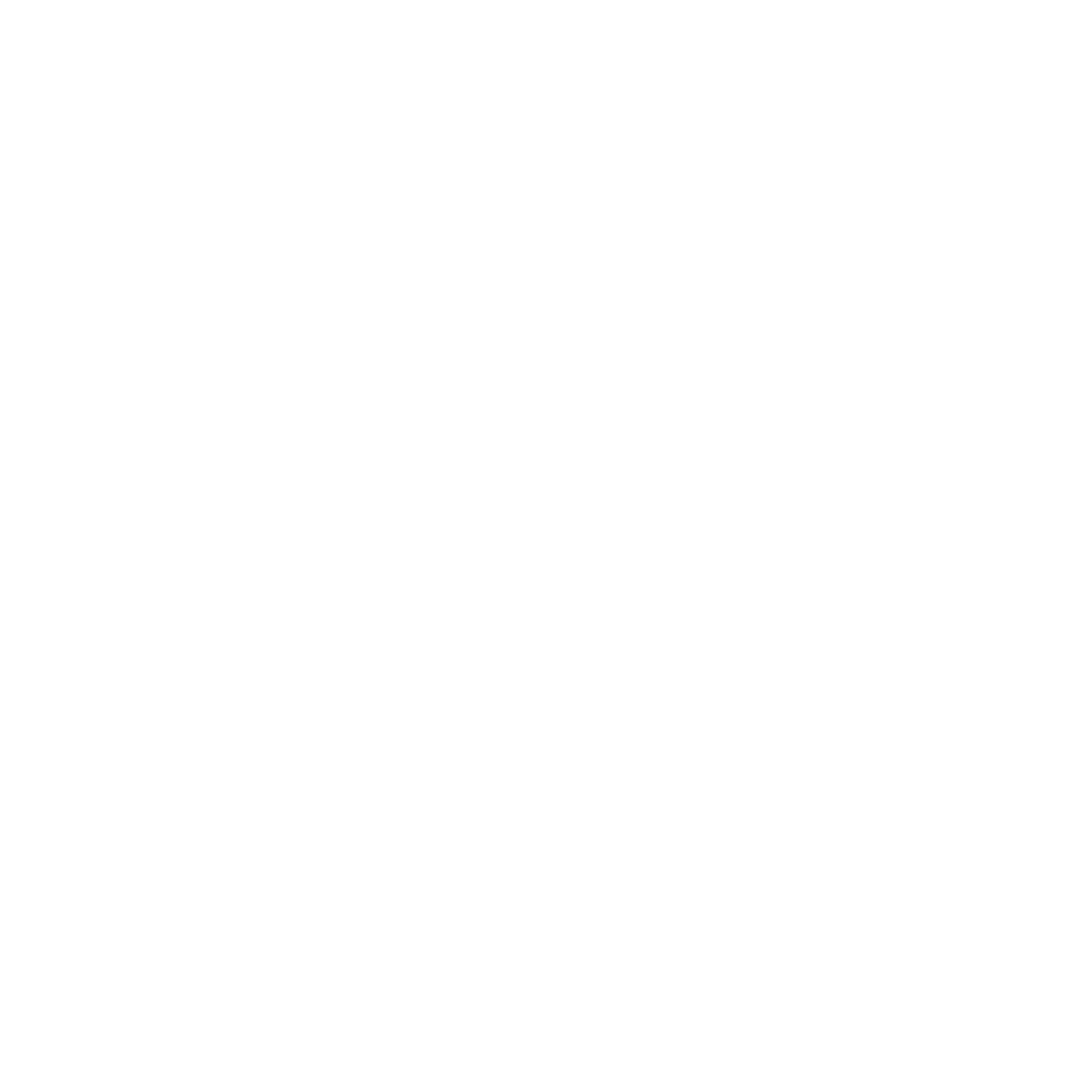 Altair ERP